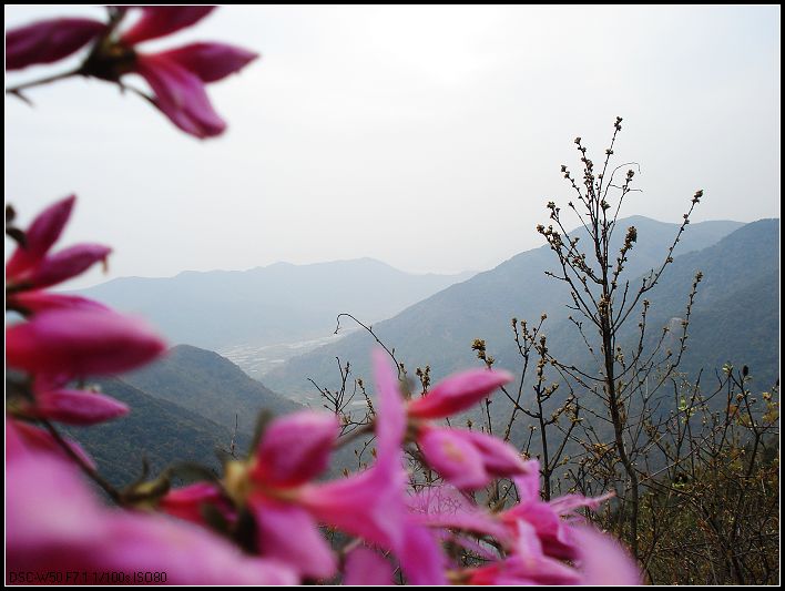 五狮山 (6).jpg