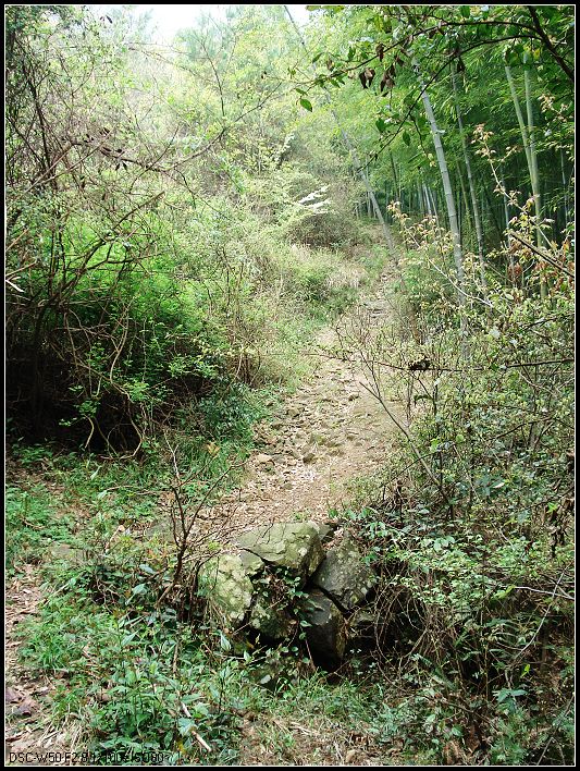 熟悉的小路 (3).jpg