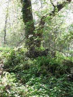 9IMG_7880.jpg