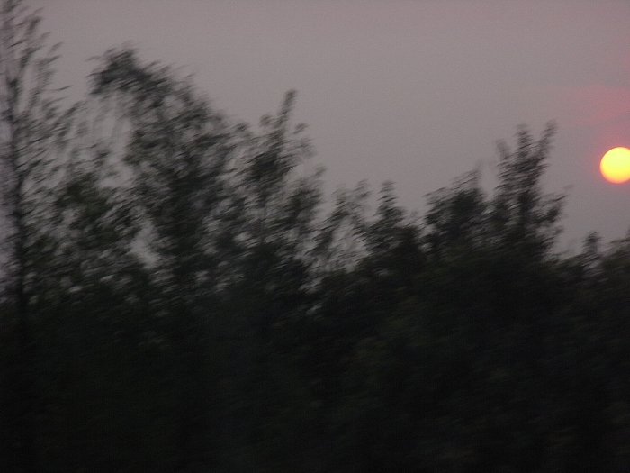 夕阳3.jpg