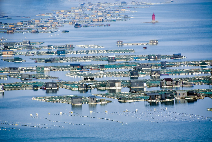 海上家园1.jpg