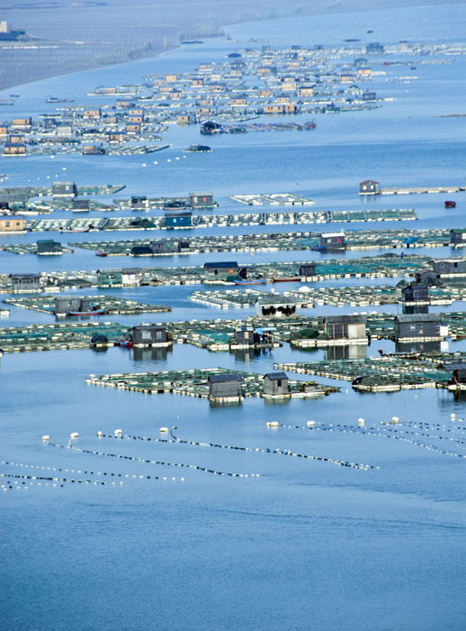 海上家园2.jpg