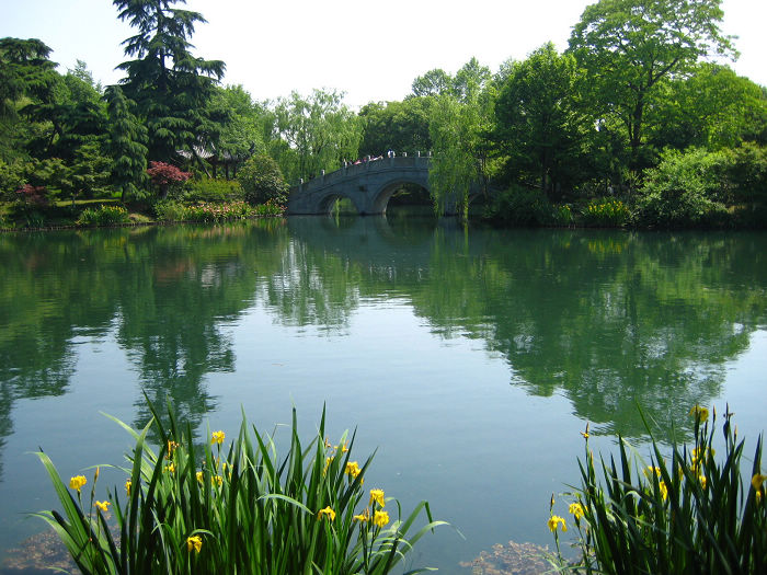 西溪39.jpg