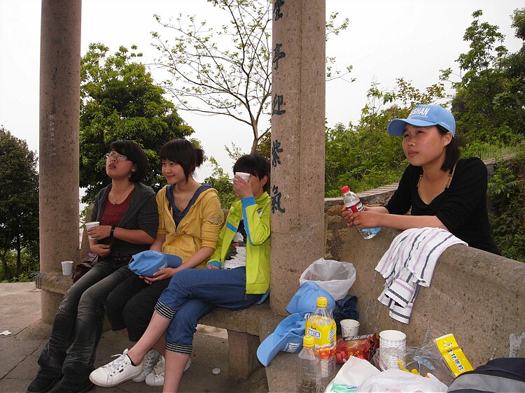 4朵金花