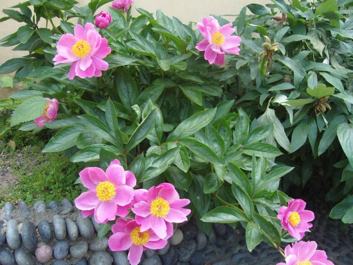 照片 073.jpg