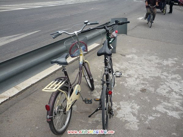 两辆牛车