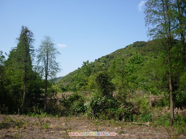 黄岩洞景色