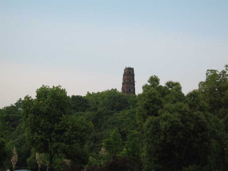 IMG_4384.jpg