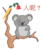 未命名.gif