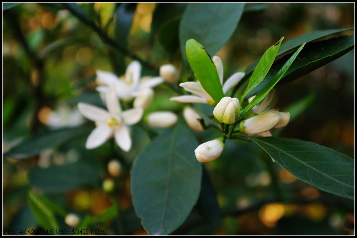 春暧花开 (3).jpg