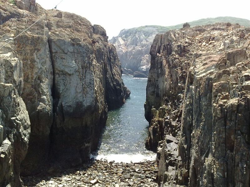 20090509113.jpg