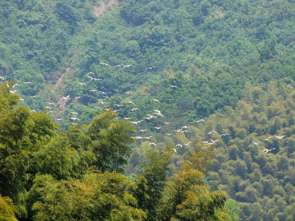 IMG_1795.jpg