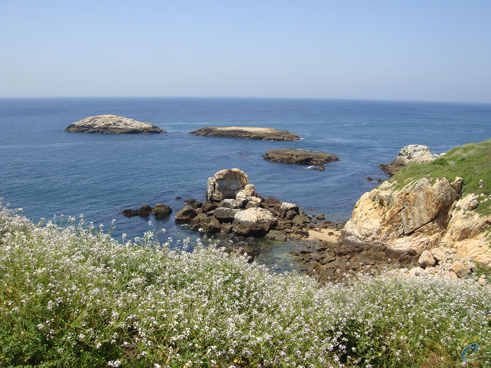 DSC00575.jpg