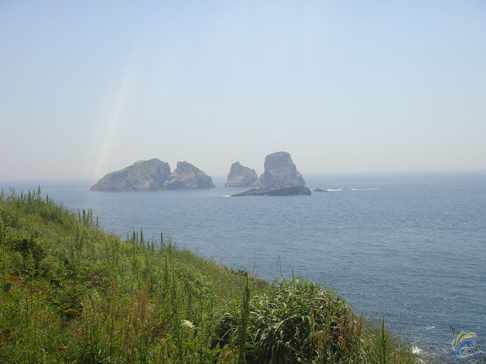 DSC00493.jpg
