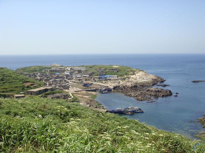 DSC00667.jpg