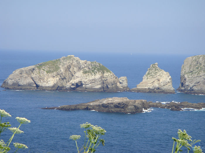 DSC00660.jpg