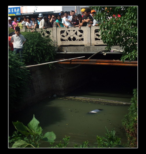 DSCF0766 副本.jpg