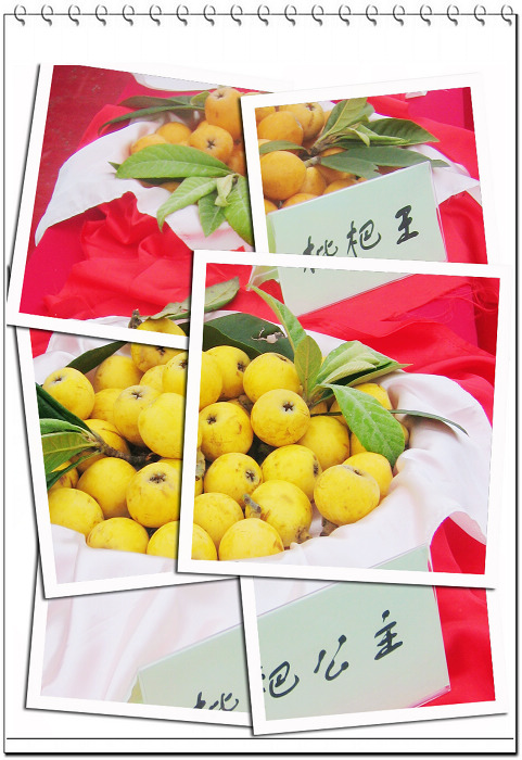 复件 复件 IMG_0058.jpg