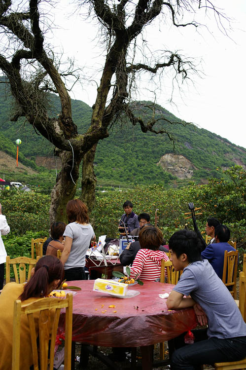 PICT7652.jpg