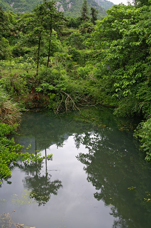 PICT7598-1.jpg