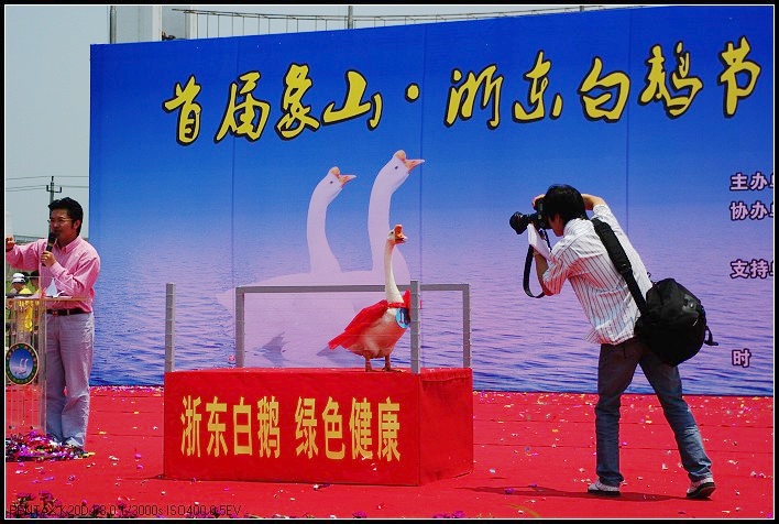 来张PP.jpg
