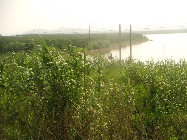 DSC04118.JPG