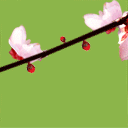 10475115429.gif