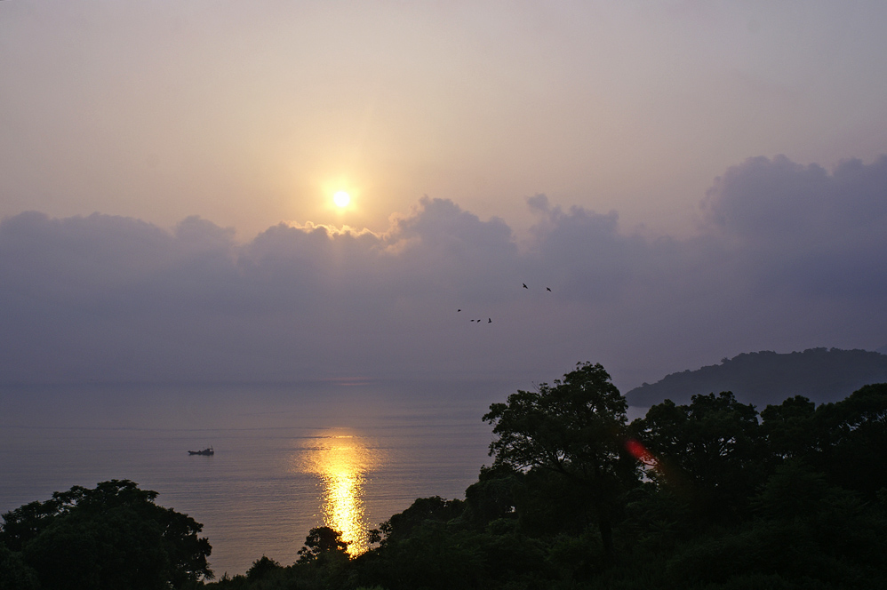 PICT8114.jpg