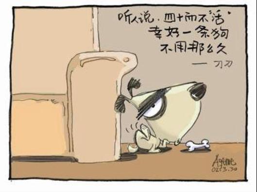 图片21.jpg