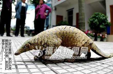 无标题.JPG