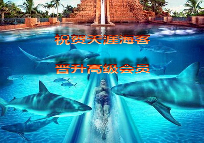 祝 贺