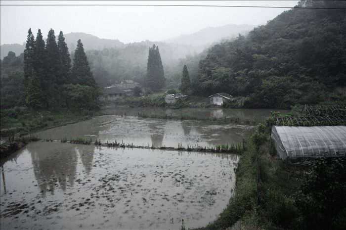 雨景2.jpg