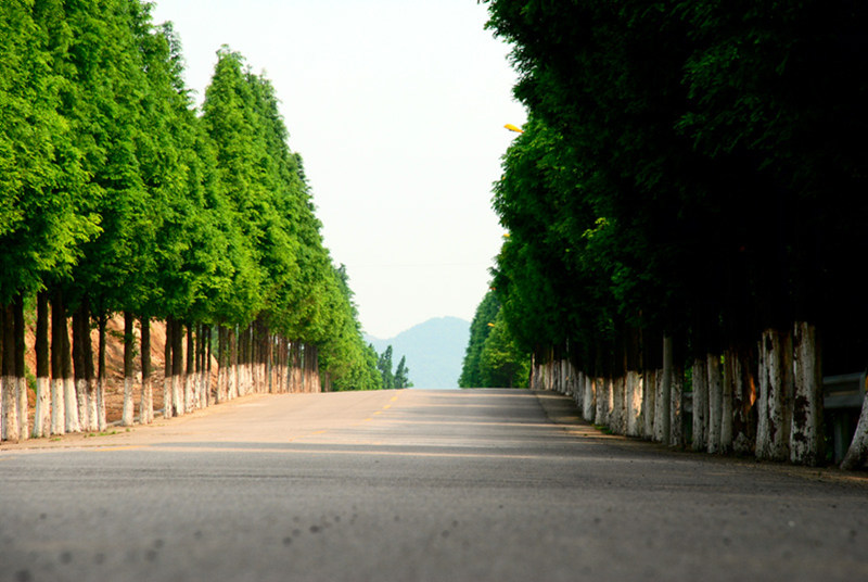 DSC_0017.jpg