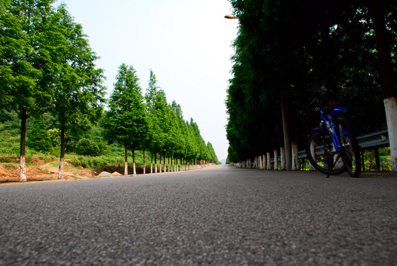 DSC_0016.jpg