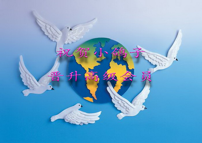 祝 贺