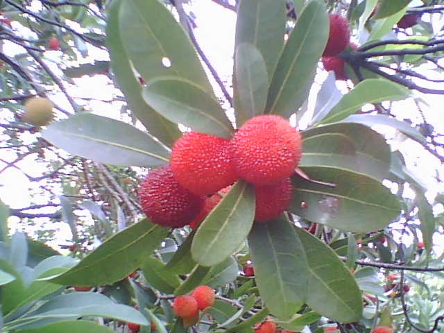 PIC_2953.jpg