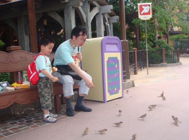 喂麻雀.jpg