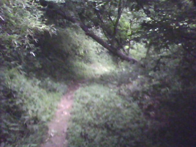下山的路上