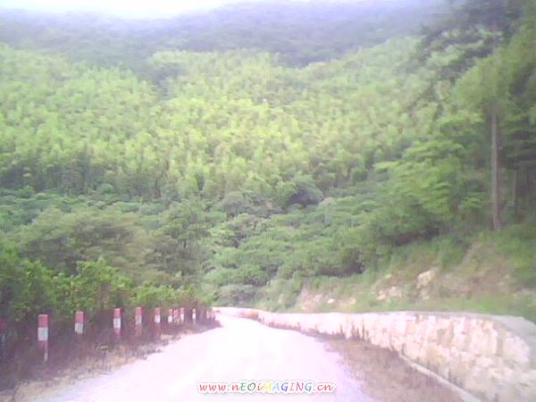 IMG0056A.jpg
