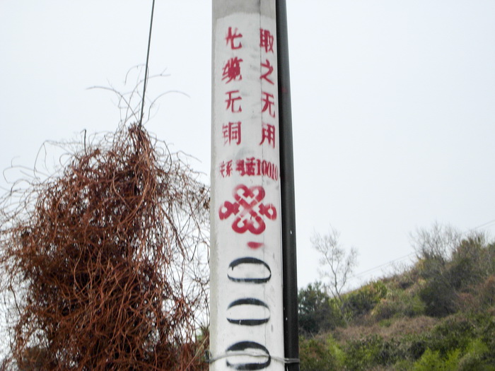 照片 015.jpeg