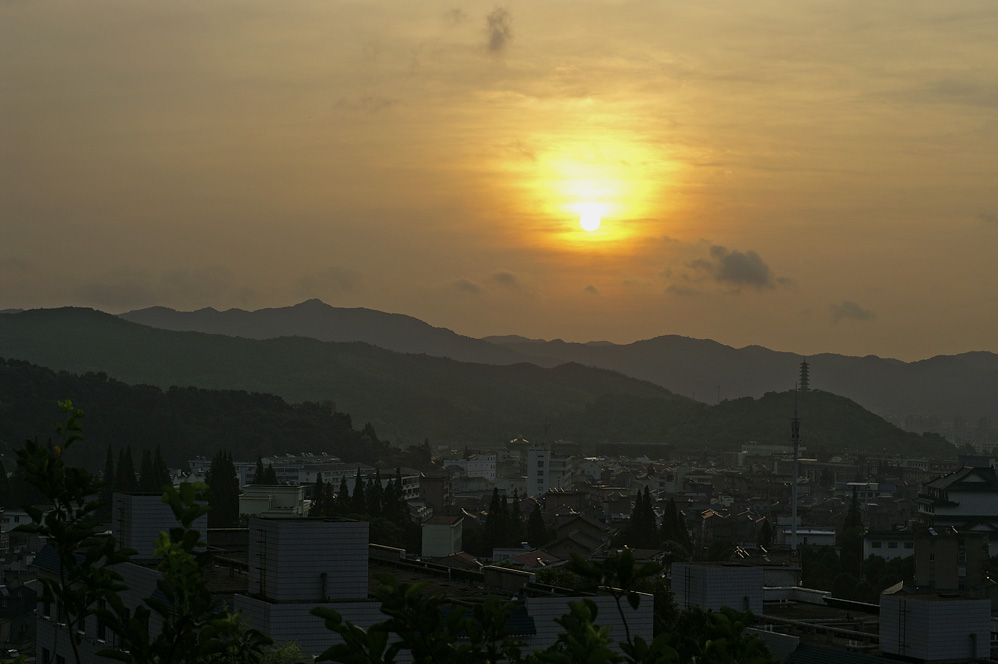 PICT8481.jpg