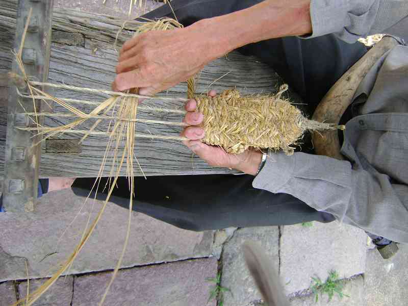nEO_IMG_DSC01216.jpg