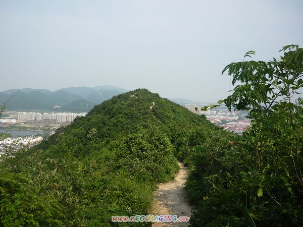 P1050260.JPG