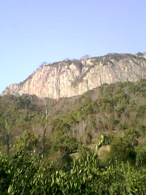 PIC_1949.jpg
