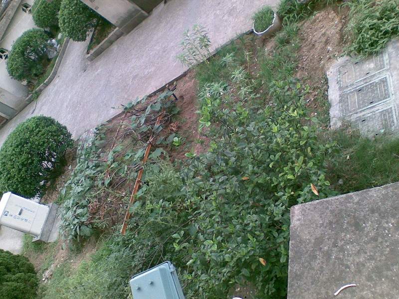 02.jpg