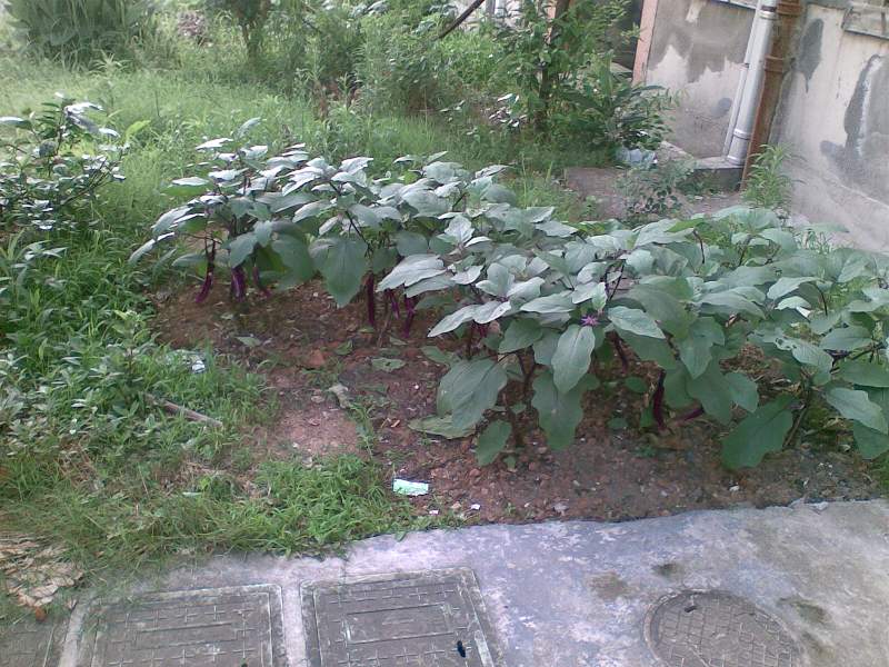 07.jpg