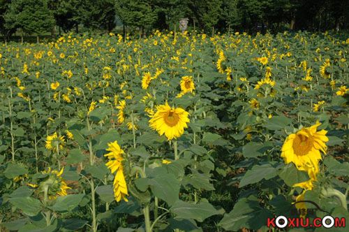 20090624_e081464dd93138a2d46e0FHlKxhe1JUo.jpg