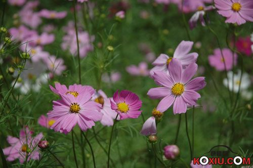 20090624_aa283d3d03e2fe14ee2eyNvnlowm1Yix.jpg