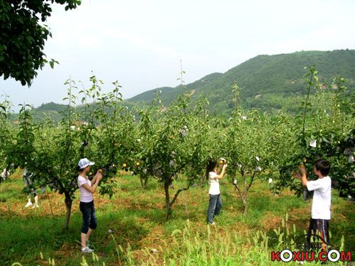20090624_82f011f45d39000f7069KTsabd5mWQSh.jpg