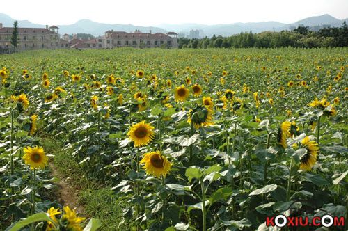 20090624_82ca65ad208e9f5ea65auqH1CPwBcTdX.jpg
